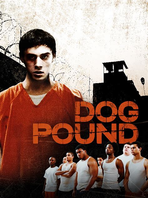 cast of dog pound|Meet the Cast of Dog Pound Movie 